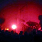 06.jpg