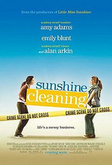 sunshinecleaning.jpg