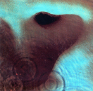 meddle.gif