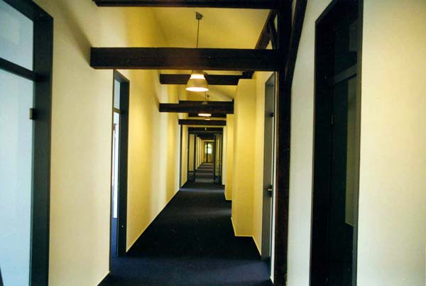 image 13.jpg image