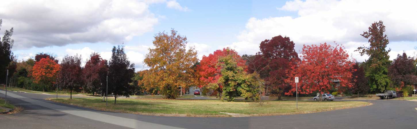 image 01.jpg image