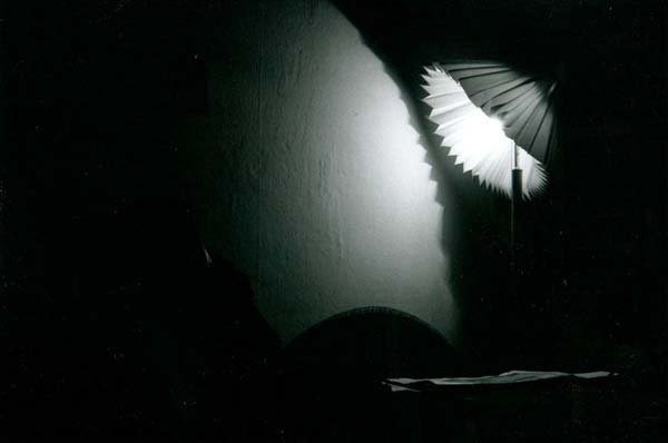 image 14.jpg image