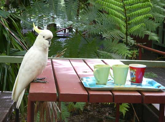 image 09.jpg image