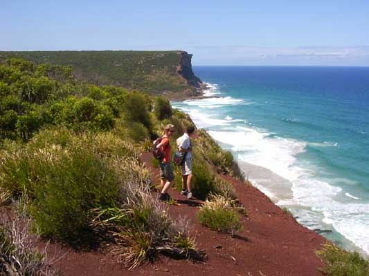 image 11.jpg image