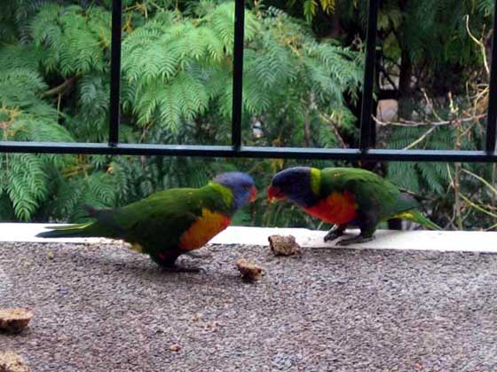 image 04.jpg image
