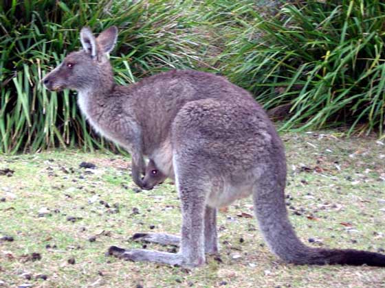 image 14.jpg image