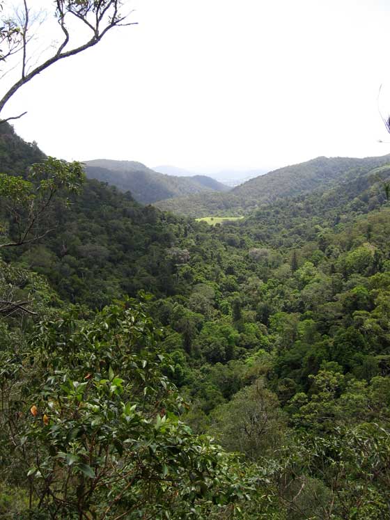 image 11.jpg image