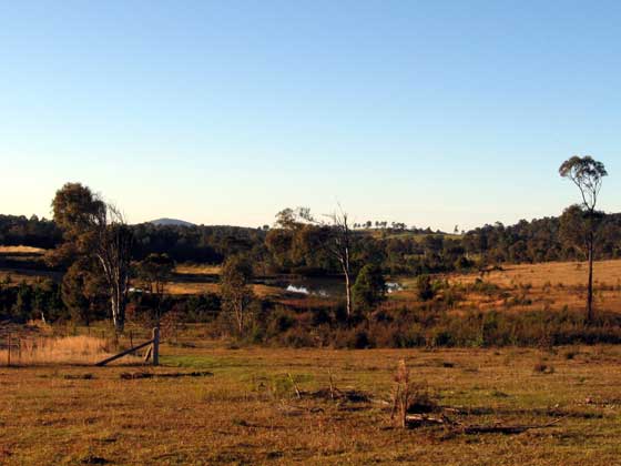 image 11.jpg image