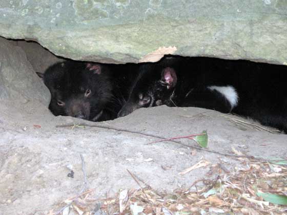 image 15.jpg image