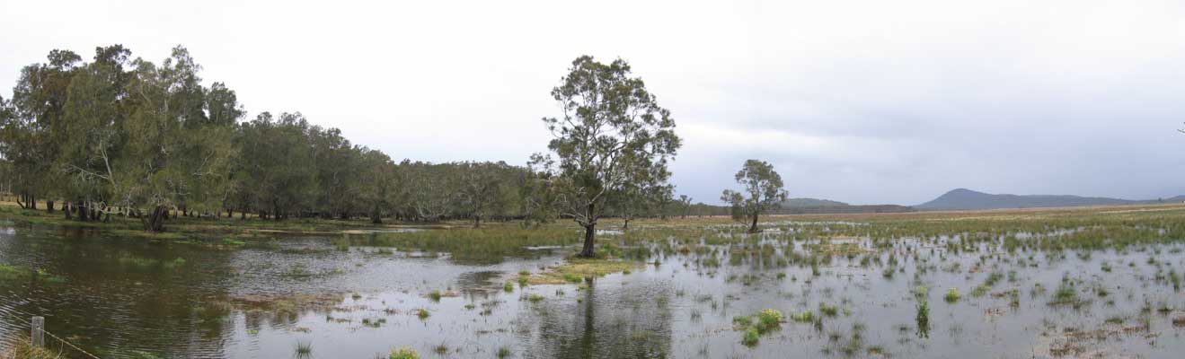 image 25.jpg image