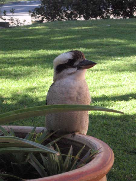 image 03.jpg image