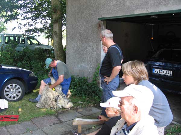 image 09.jpg image