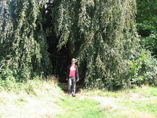 image 14.jpg image