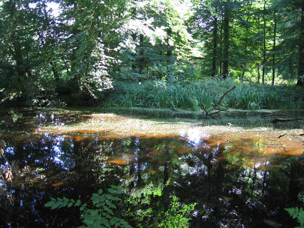 image 16.jpg image