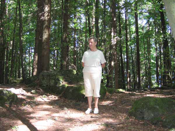 image 02.jpg image