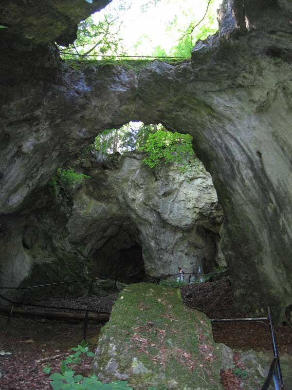 image 04.jpg image