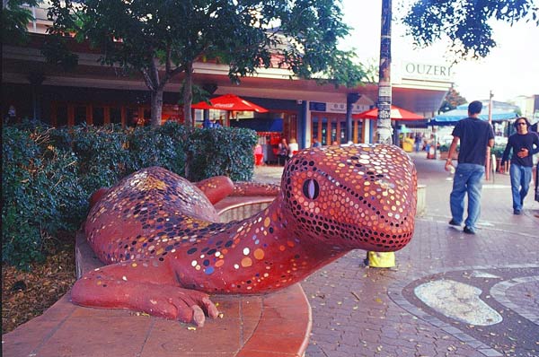 image 24.jpg image