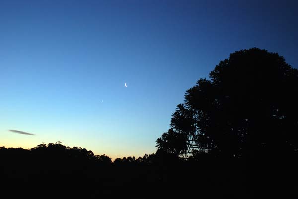 image 06.jpg image