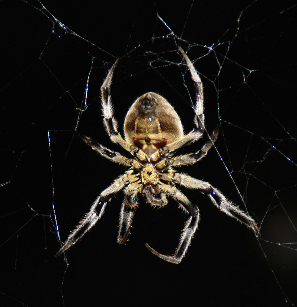 image 07.jpg image