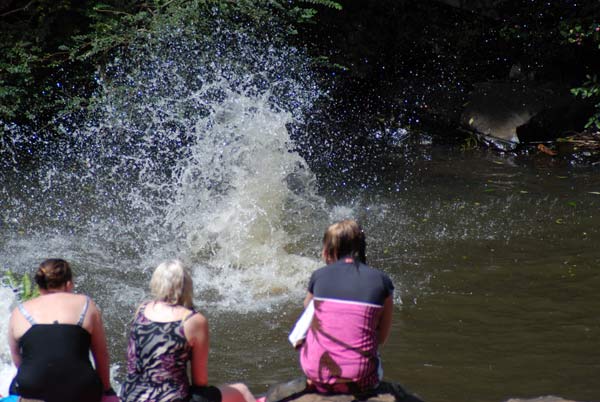image 14.jpg image