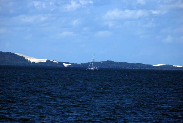 image 01.jpg image