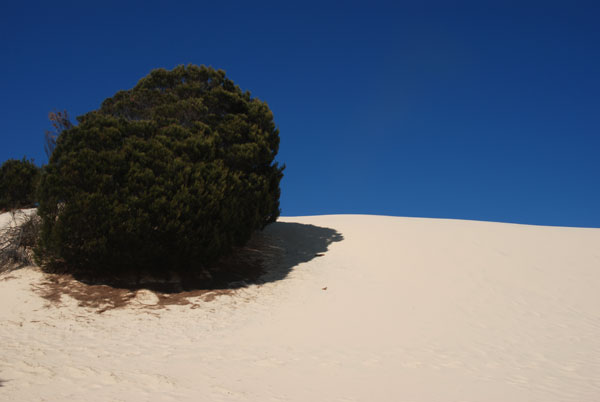 image 12.jpg image