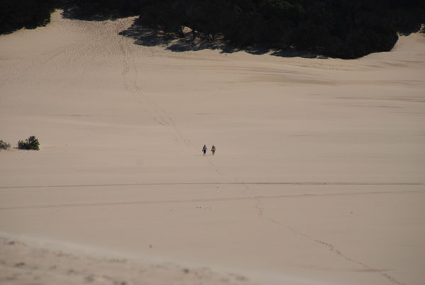 image 15.jpg image
