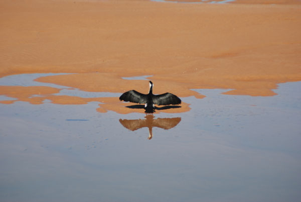 image 16.jpg image