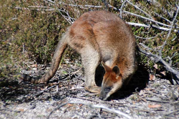 image 07.jpg image