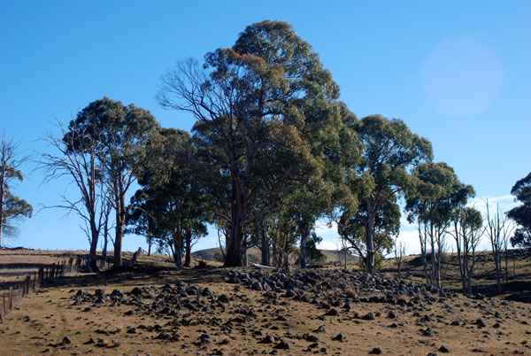 image 10.jpg image