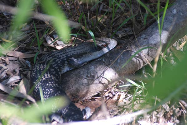 image 03.jpg image