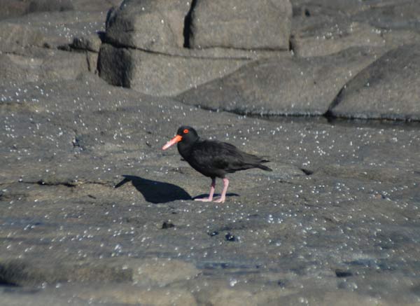 image 05.jpg image