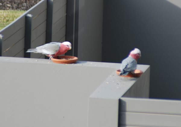 image 16.jpg image