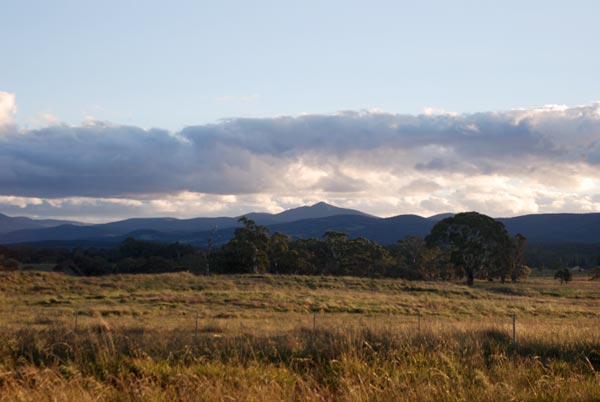 image 01.jpg image