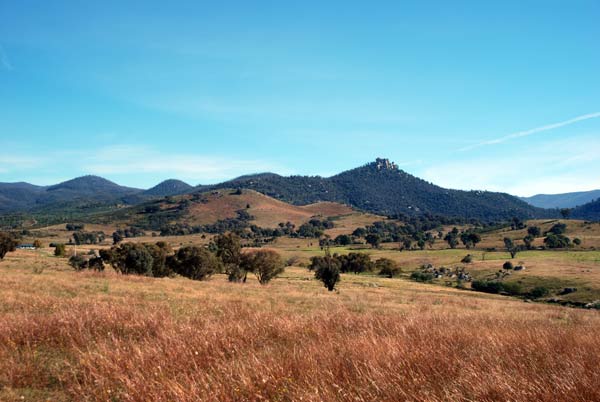 image 09.jpg image