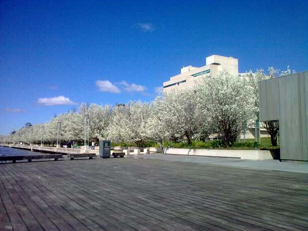 image 05.jpg image