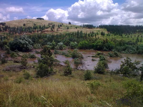 image 12.jpg image