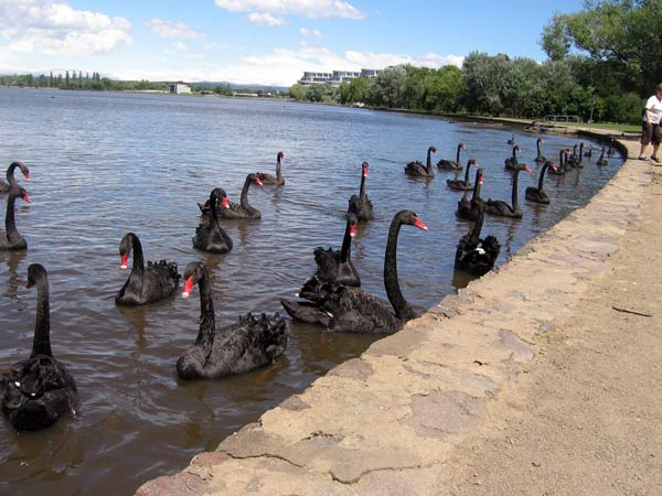 image 13.jpg image