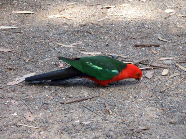 image 05.jpg image