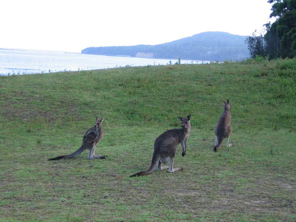 image 06.jpg image
