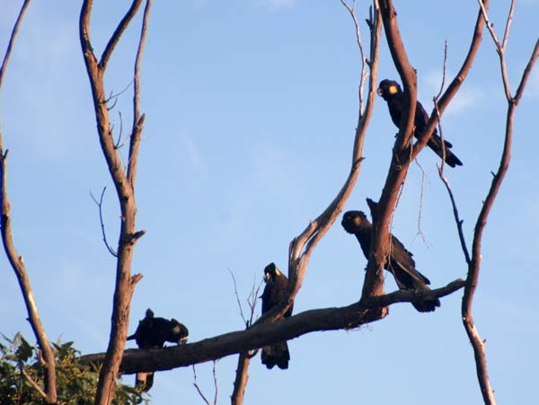 image 14.jpg image