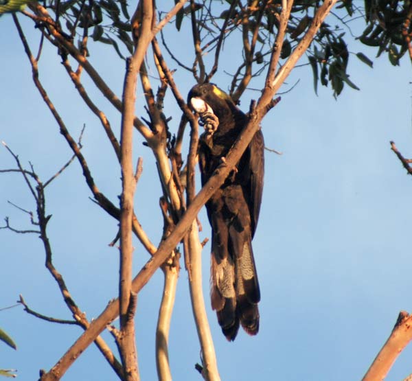 image 15.jpg image