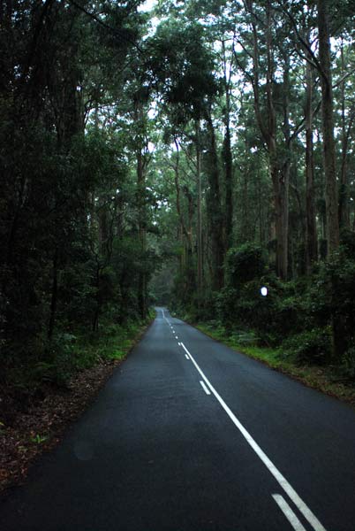 image 01.jpg image