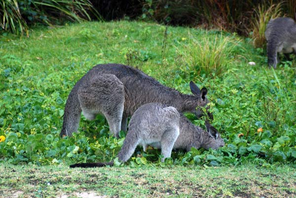 image 02.jpg image