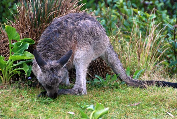 image 06.jpg image