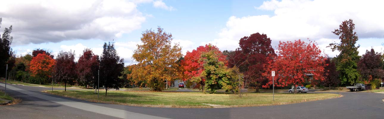 image 11.jpg image