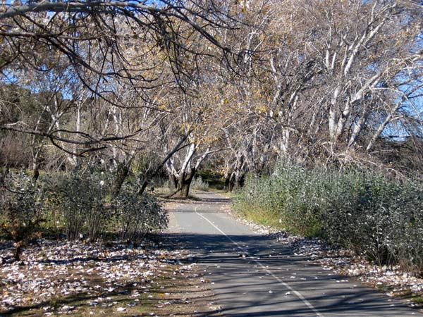 image 12.jpg image