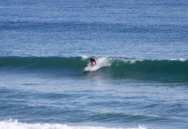 image 03.jpg image