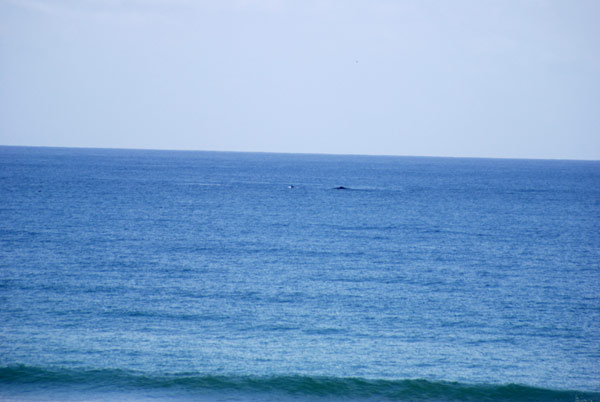 image 06.jpg image