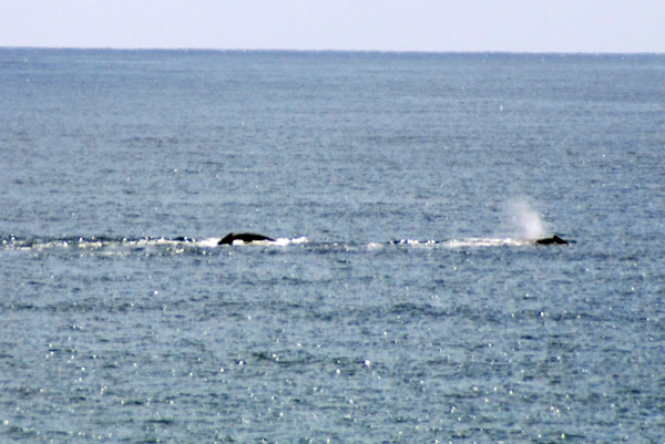image 07.jpg image